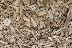 biomass boilers Ceann Tangabhal
